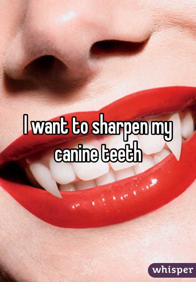 canine teeth sharpened